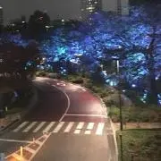 うりゃ
