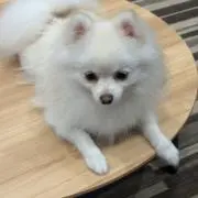 ゆっちの画像