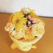くぅさんの画像