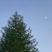 nonの画像