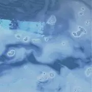 翔奈の画像