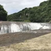 豚汁太郎の画像