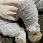 ひか