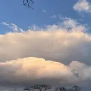 SSの画像