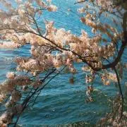 minminの画像