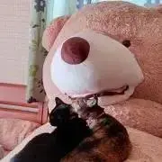 GACKT  購入させて頂きます。
