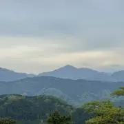 チンチラの画像