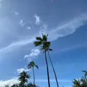 リョウ