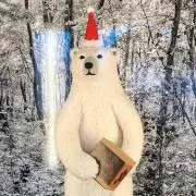 ちなぴかの画像