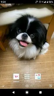 クムちゃん