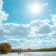 新井雲