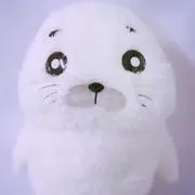 harumiの画像