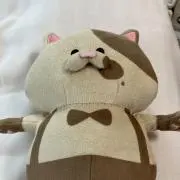 せぎけんの画像