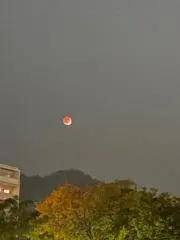 キョウ