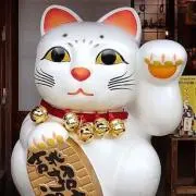 リカの画像