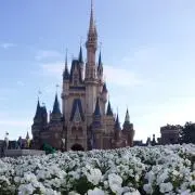 ♡もあ♡プロフ見てください♪の画像