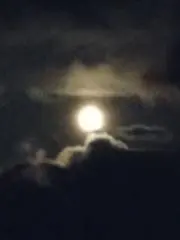 SH