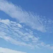 Hgdfyの画像