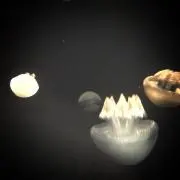 ちくわぶの画像