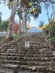 とものりの画像