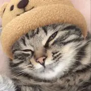 reoの画像