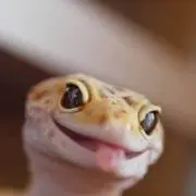 しょう