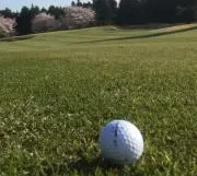 Domaneの画像