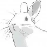 ぴょん太