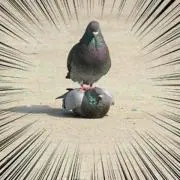 雲さん プロフ必読