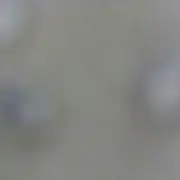 るるの画像