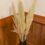 m.iの画像