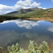のりまきの画像