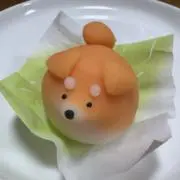 ayaの画像