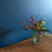 コパンダの画像