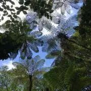 ひさの画像