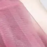 のの画像