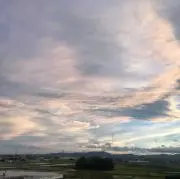 かんたろの画像