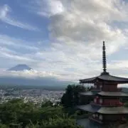 やっちの画像