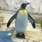 まるめ