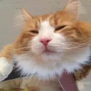 なの