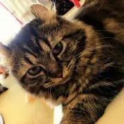 ゆーきゃん プロフ必読