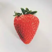 k！プロフ必読！