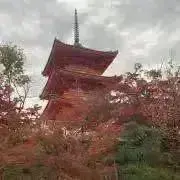 ゆ