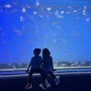 なかちゃんの画像