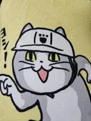 流れ星ねこ@プロフ必読！の画像