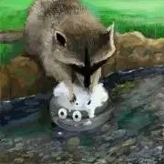 ミヤ
