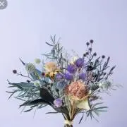 トッコ's Shopの画像