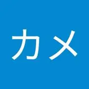 カメはむちゃんの画像