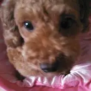 みき