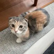 Daichiの画像